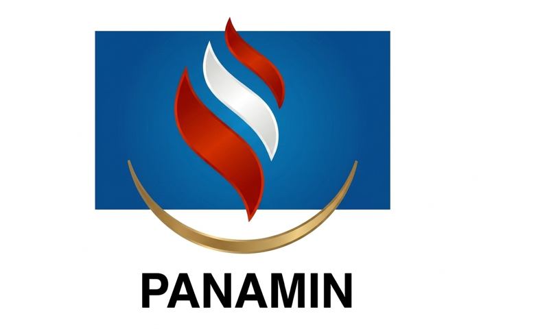 Panamin Logo